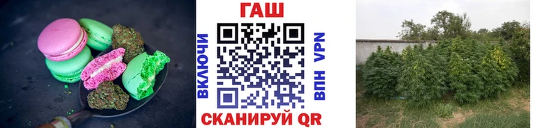 Canna-Cookies конопля магазин наркотиков Холмск