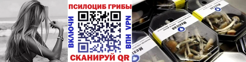 Галлюциногенные грибы Magic Shrooms  Холмск 